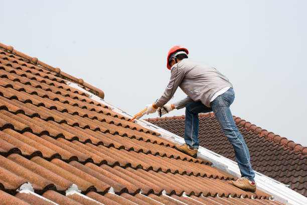 Best Roof Maintenance and Cleaning  in New Market, AL