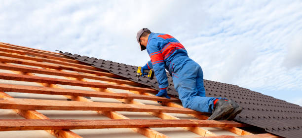 Best Roof Moss and Algae Removal  in New Market, AL